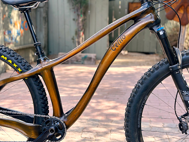 Celilo Hardtail complete bike with focus on the body