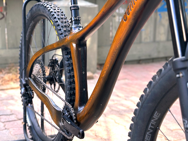 Celilo Hardtail complete bike with focus on the downtube