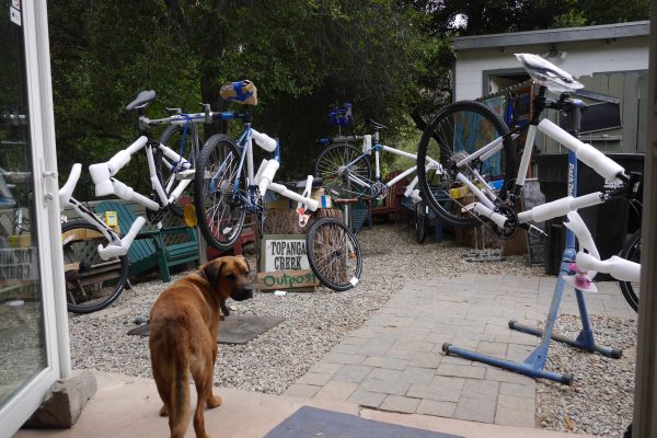 Bike Building Day at 5 PM