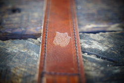 Camera strap with bear stamp