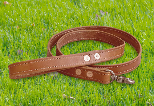 Premium dog leash with copper rivets and double stitching