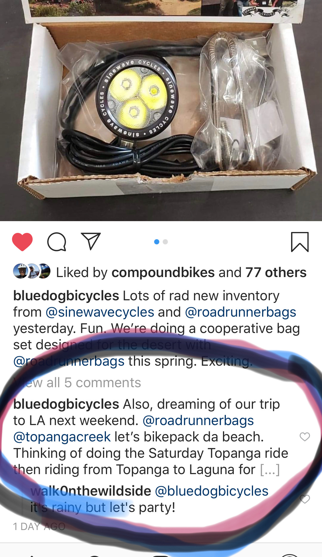 blue dog bicycles